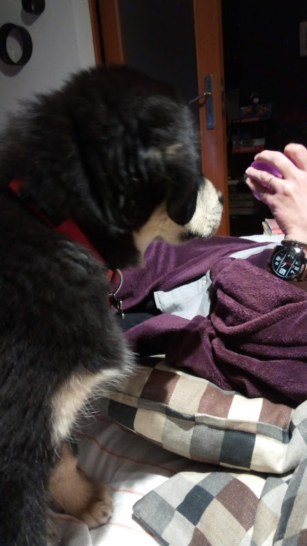 Nao_me_canso_disto_eevee5.jpg Nao_me_canso_disto_eevee5.jpg