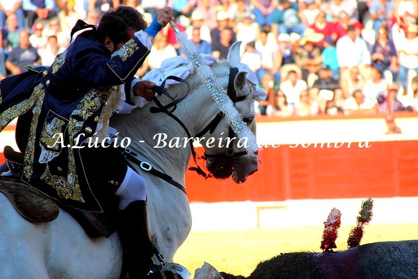 IMG_6283.JPG IMG_6283.JPG