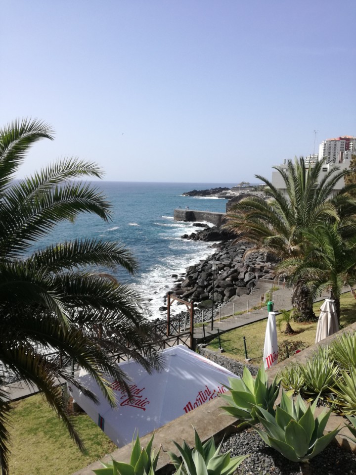 IMG_20190224_115821.jpg IMG_20190224_115821.jpg