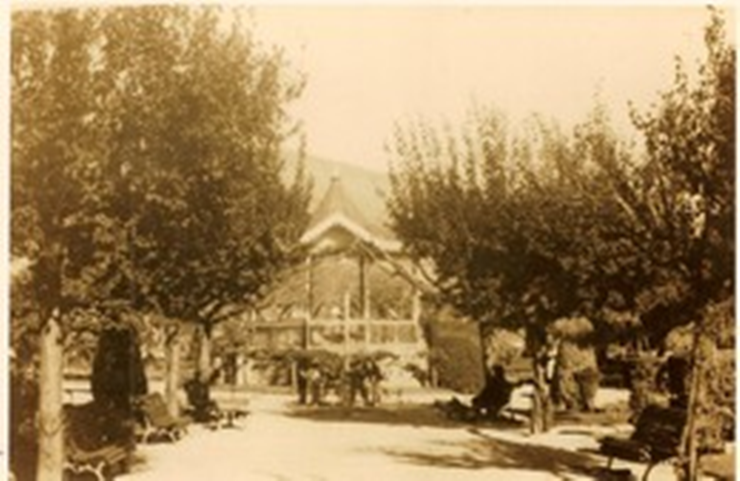 740.......500x500 (6).png 740.......500x500 (6).png