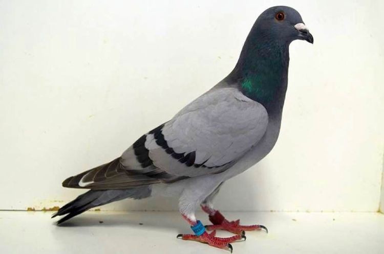 6393208-16.jpg 6393208-16.jpg