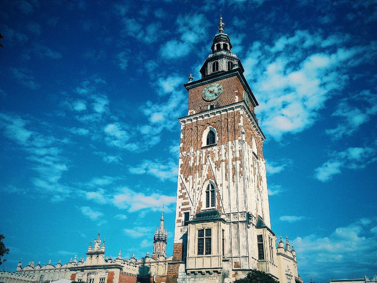 2016-08-14 08.19.45 2.jpg