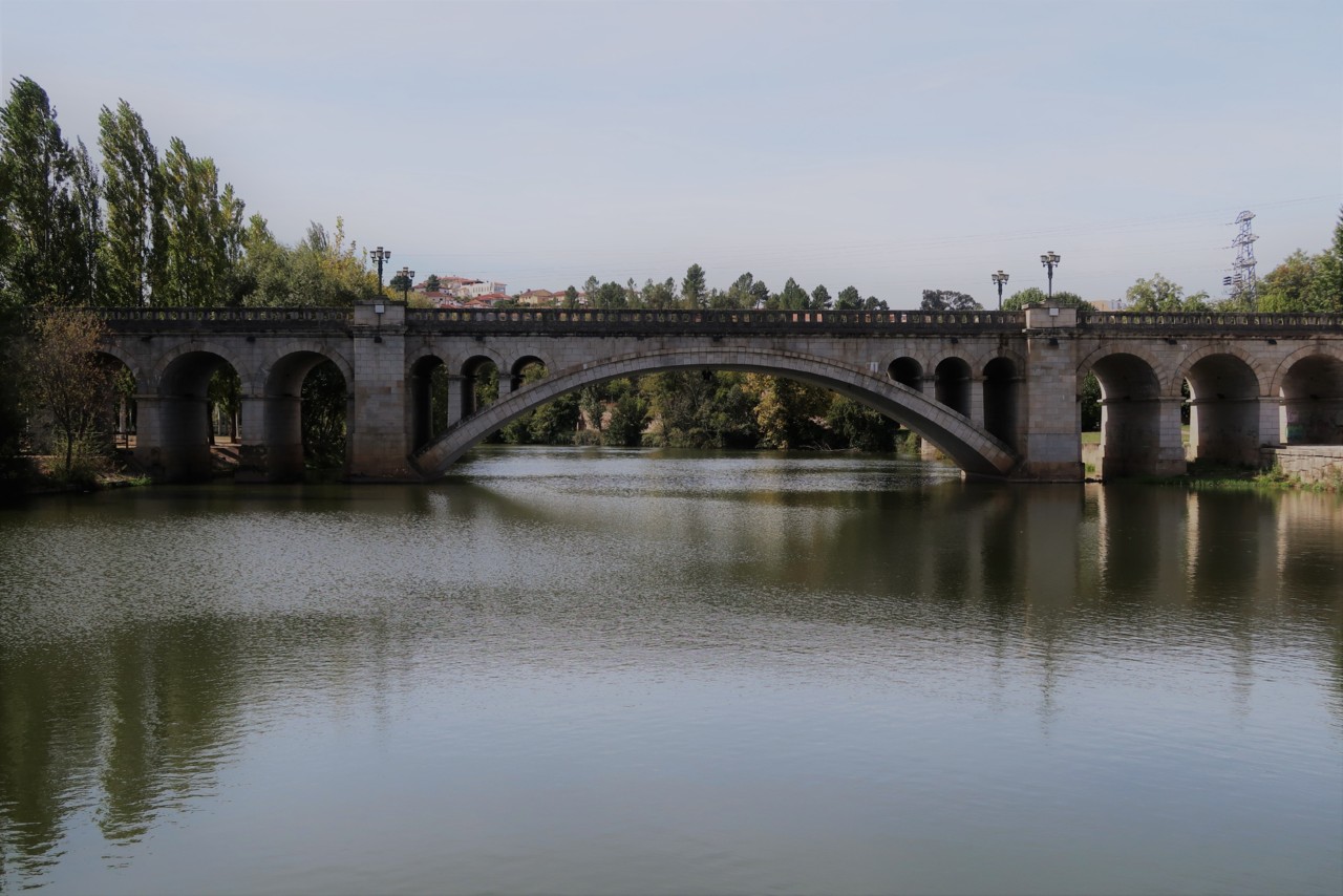 IMG_1408.JPG IMG_1408.JPG