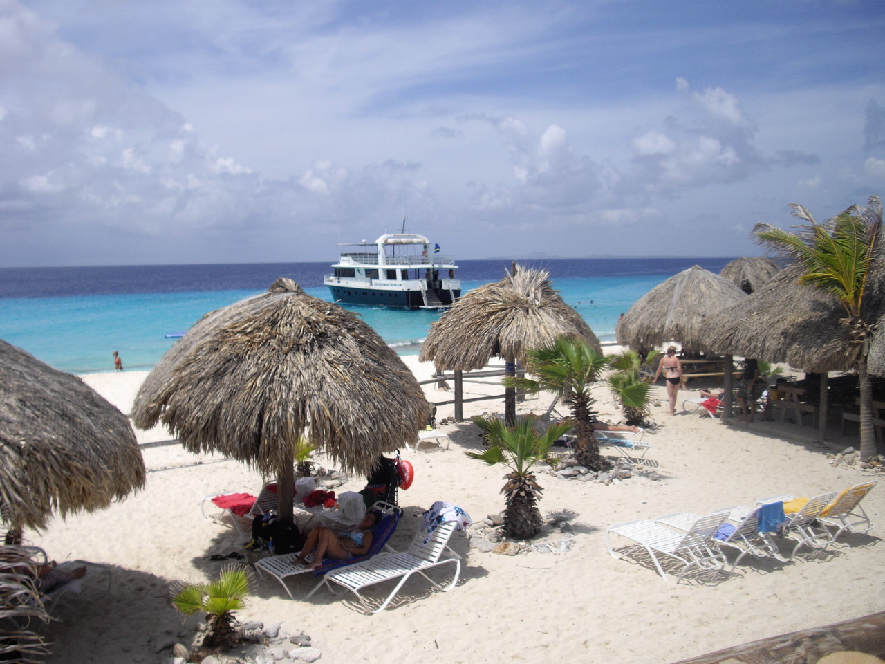 IMGP8630.JPG IMGP8630.JPG