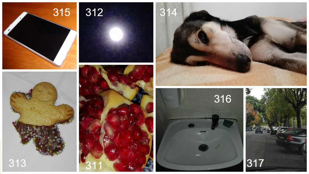 311 a 317.jpg 311 a 317.jpg