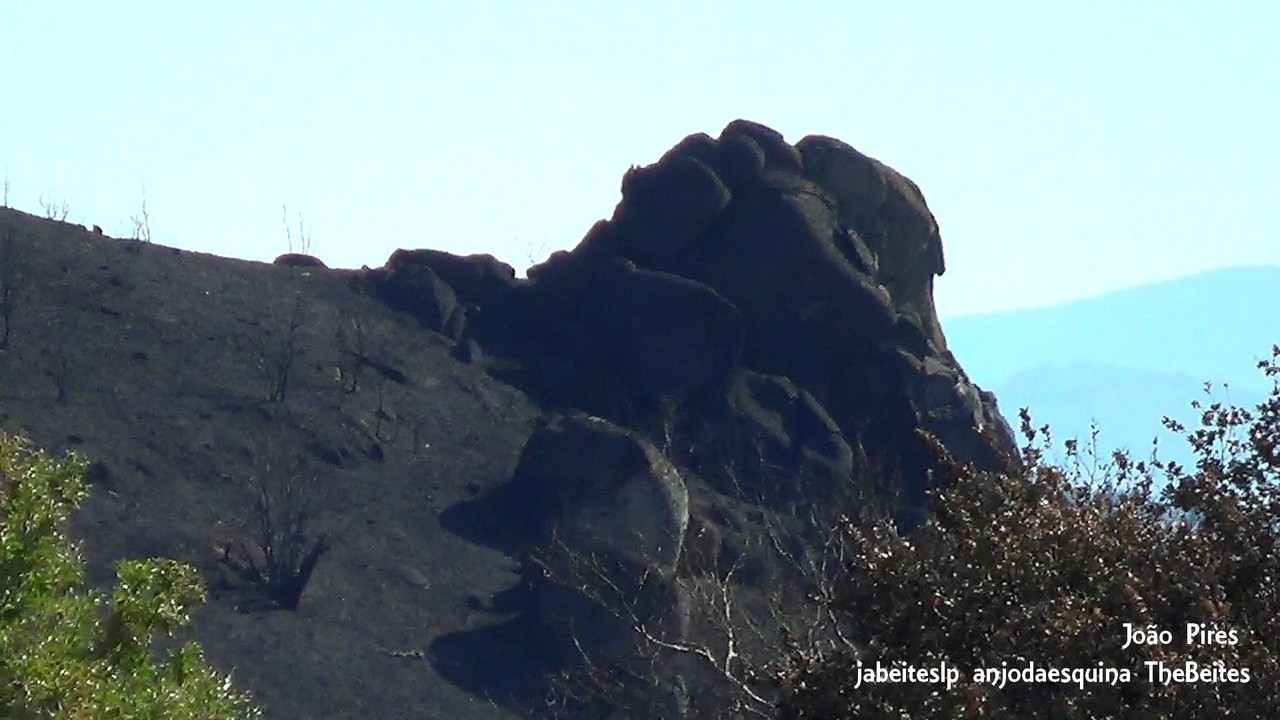 Da Nacional 18     17.jpg