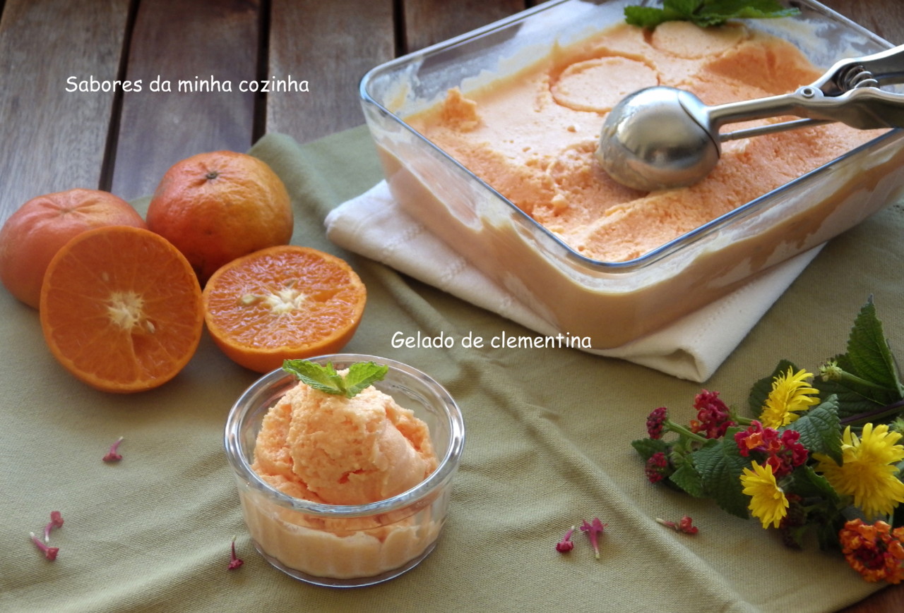 IMGP8578-gelado de clementina-Blog.JPG IMGP8578-gelado de clementina-Blog.JPG