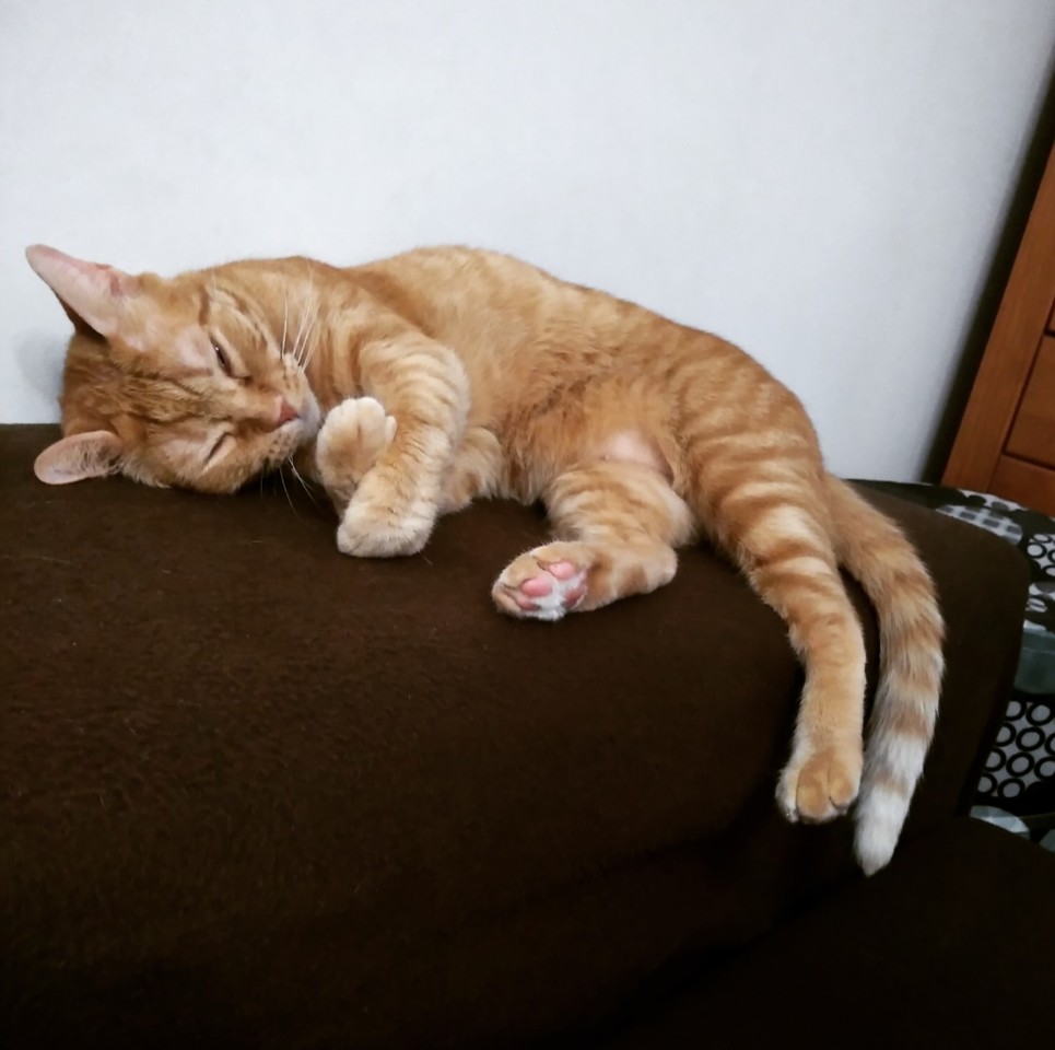 IMG_20200718_232705_788.jpg IMG_20200718_232705_788.jpg