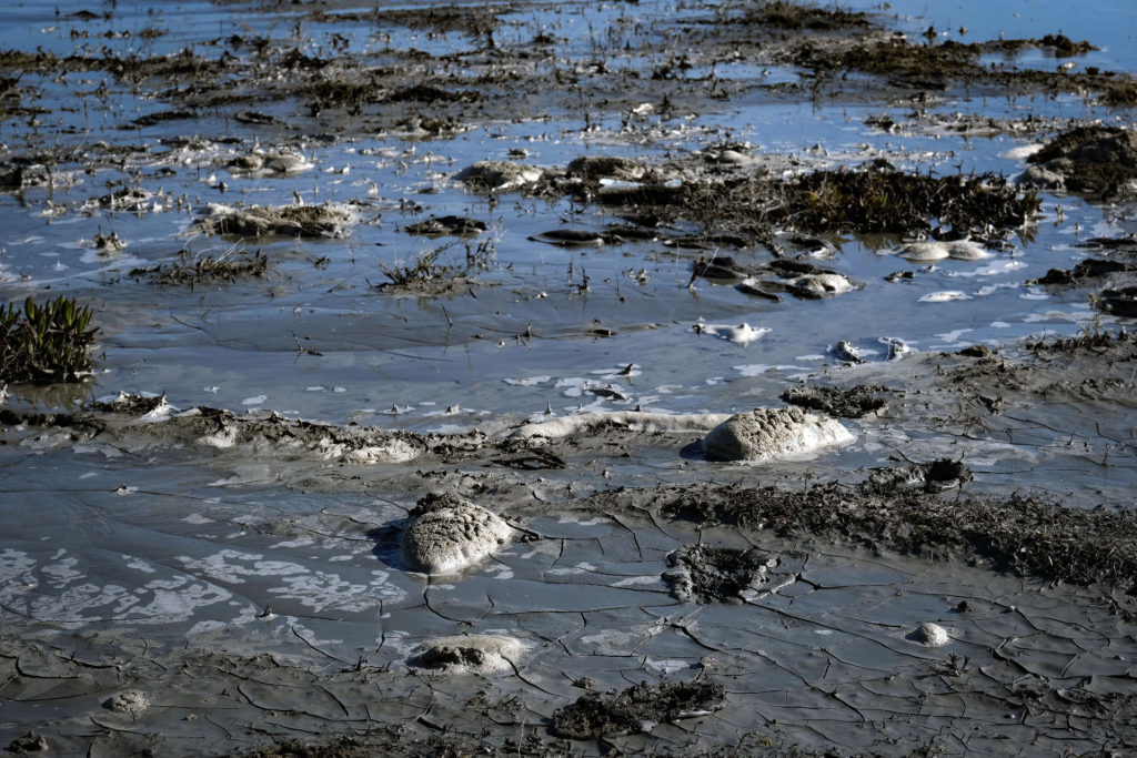 SOS_SADO4-1024x683.jpg SOS_SADO4-1024x683.jpg