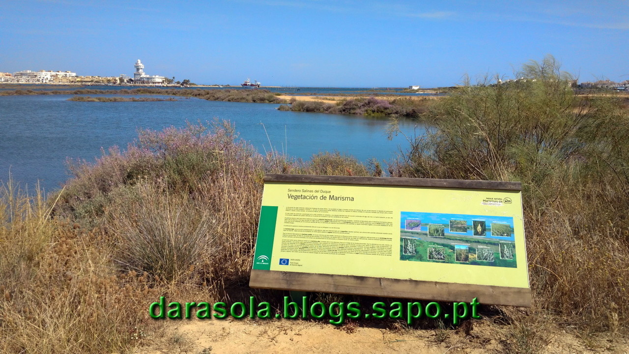 Maresmas_Isla_Canela_21.jpg Maresmas_Isla_Canela_21.jpg