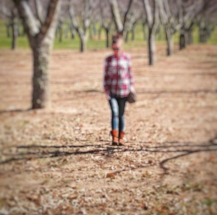 Estado de calamidade.jpeg