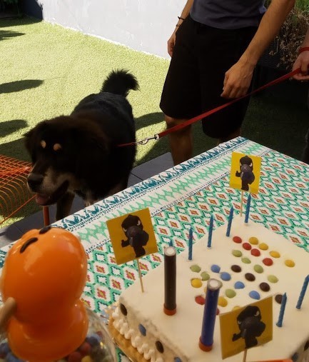 Nao_me_canso_disto_aniversario5.jpg Nao_me_canso_disto_aniversario5.jpg