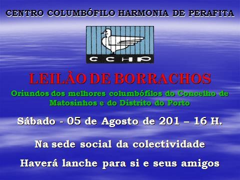 Leilão Perafita.jpg