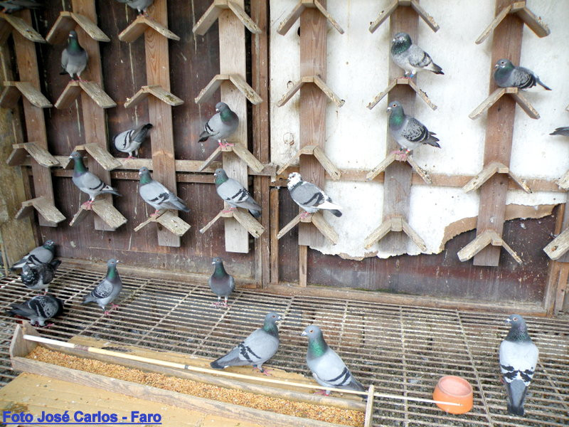 Lagos 024.JPG Lagos 024.JPG