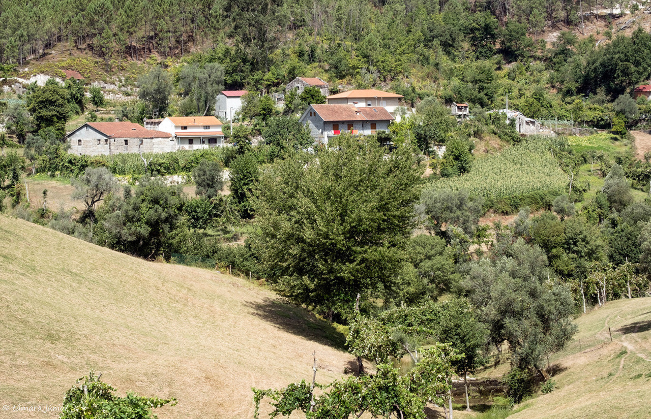 2017.- Montalegre (136).jpg