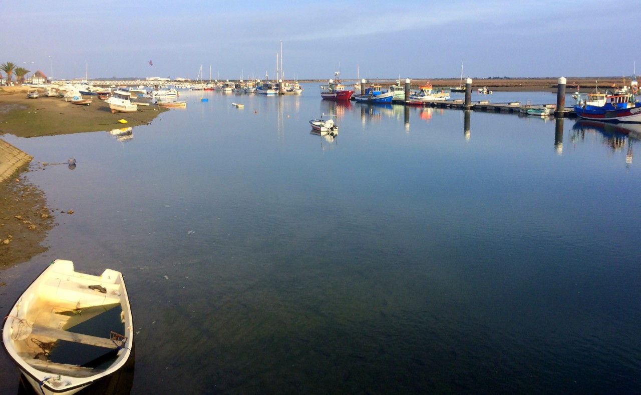 IMG_0785.JPG IMG_0785.JPG