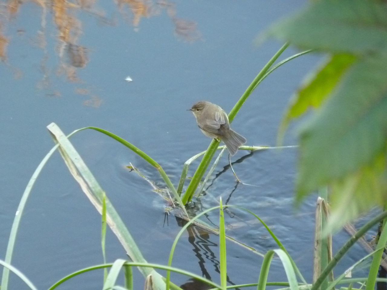 Parque Linear Ribeirinho do Estuário do Tejo (35)
