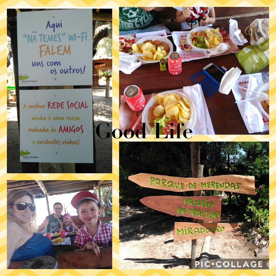 Collage 2017-07-22 22_51_02.jpg Collage 2017-07-22 22_51_02.jpg