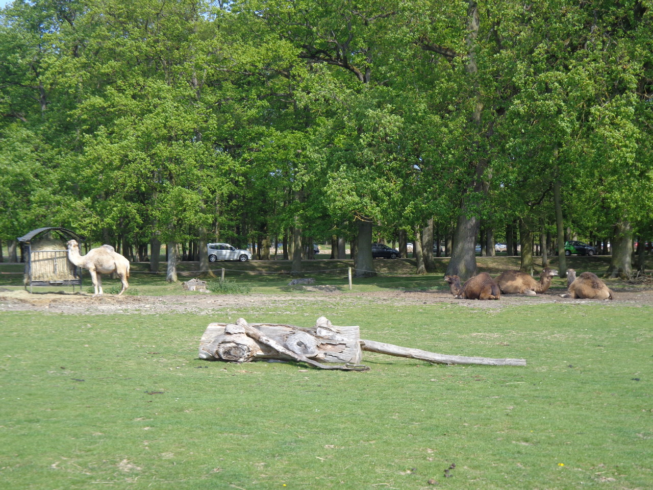 DSC09318.JPG DSC09318.JPG