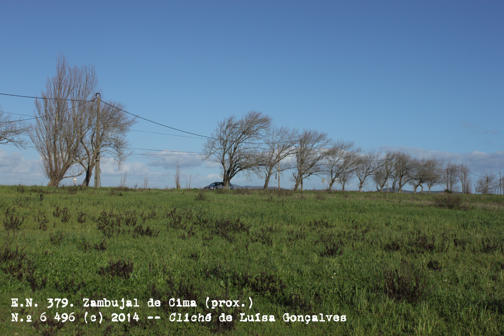 E.N. 379, Zambujal de Cima (prox.) (Luísa Gonçalves, 2014)