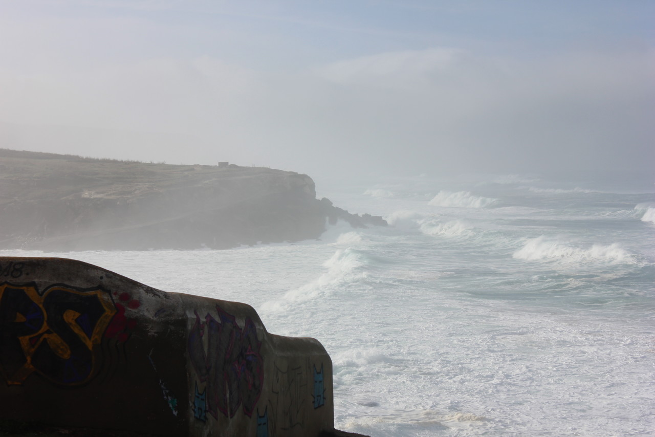 IMG_3210.JPG IMG_3210.JPG