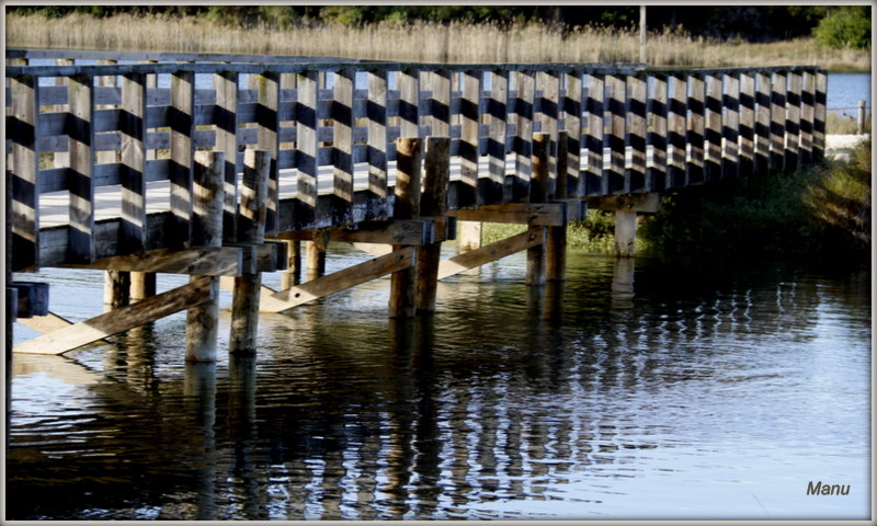 _MG_1481.JPG _MG_1481.JPG