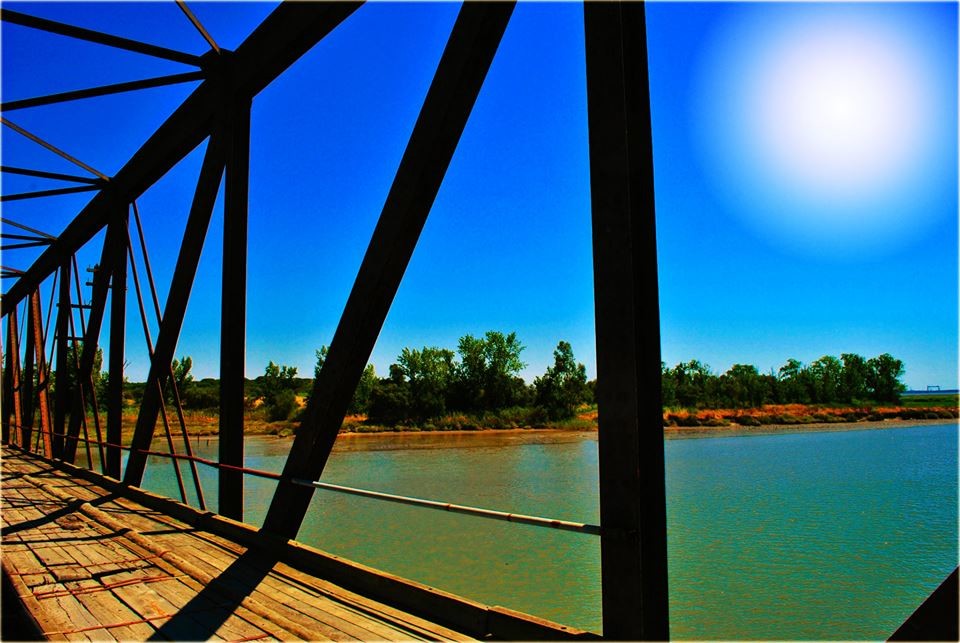 1517488_888578294513769_2021513288781977120_n.jpg 1517488_888578294513769_2021513288781977120_n.jpg