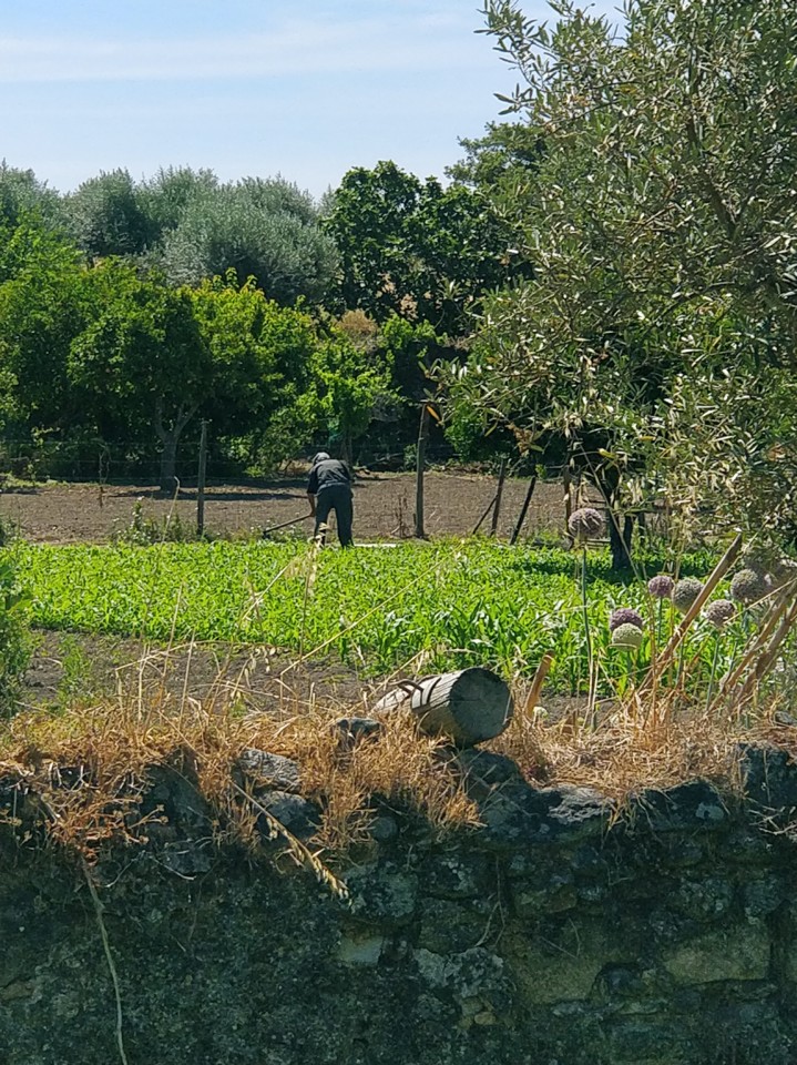 IMG_20190610_110652.jpg IMG_20190610_110652.jpg