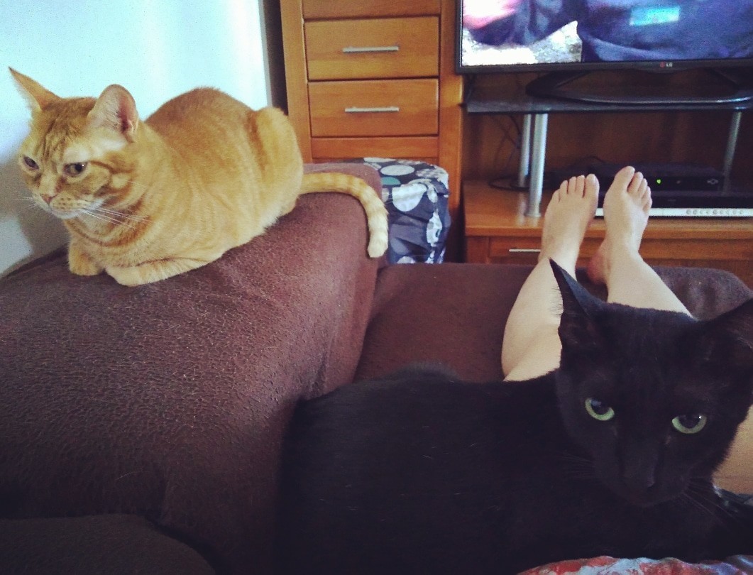 IMG_20190912_153622_821.jpg IMG_20190912_153622_821.jpg