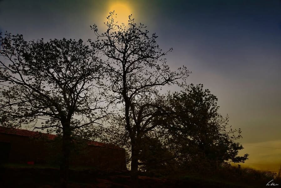 140497339_3645025305585342_1539040521437894141_n.j