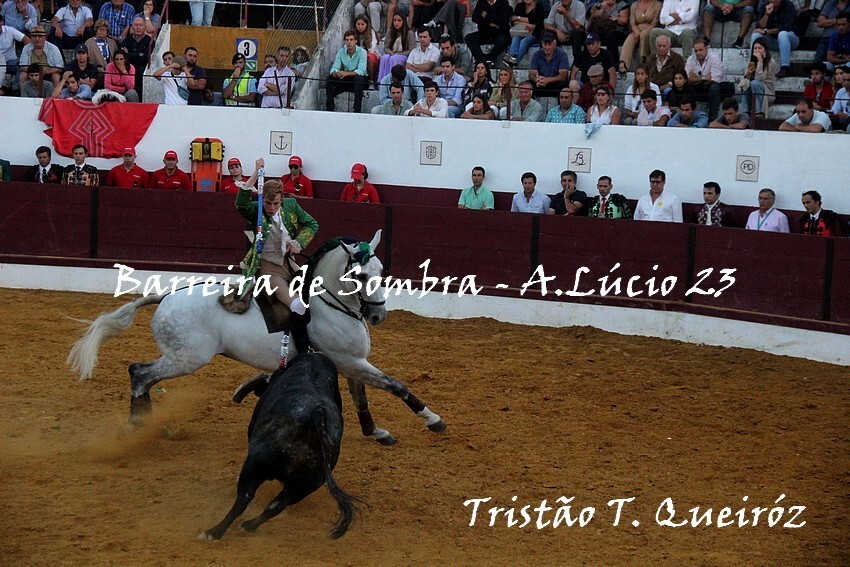 T T Queiroz_2779.JPG