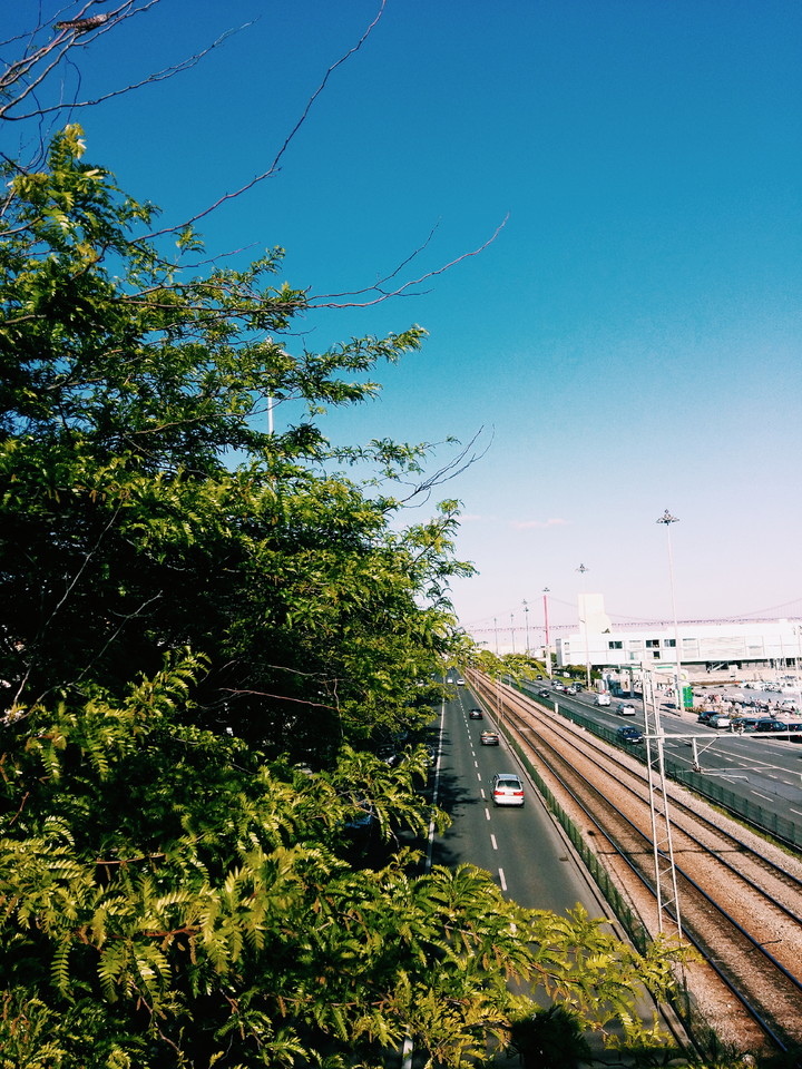 2015-06-25 01.23.10 1.jpg