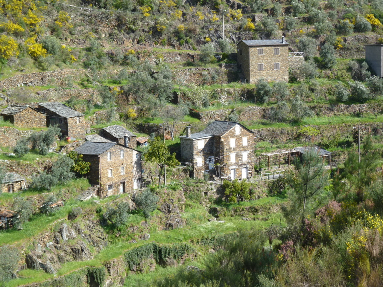 Piódão (9).JPG Piódão (9).JPG