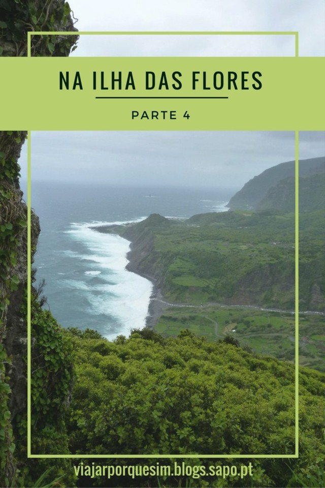Na Ilha das Flores - parte 4.jpg