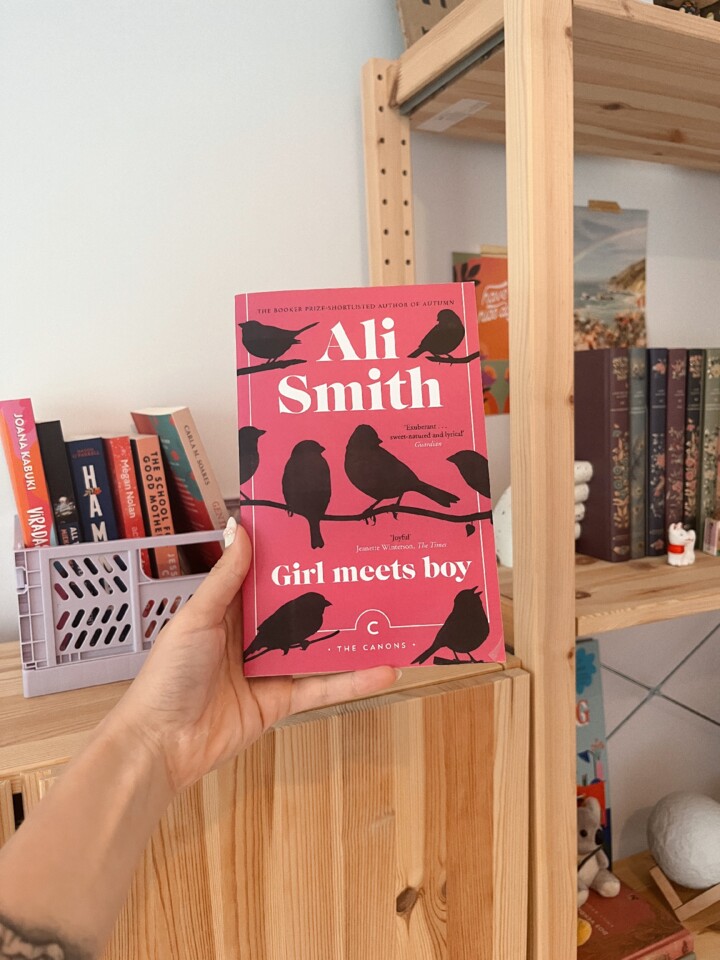 ali-smith-girl-meets-boy.JPG