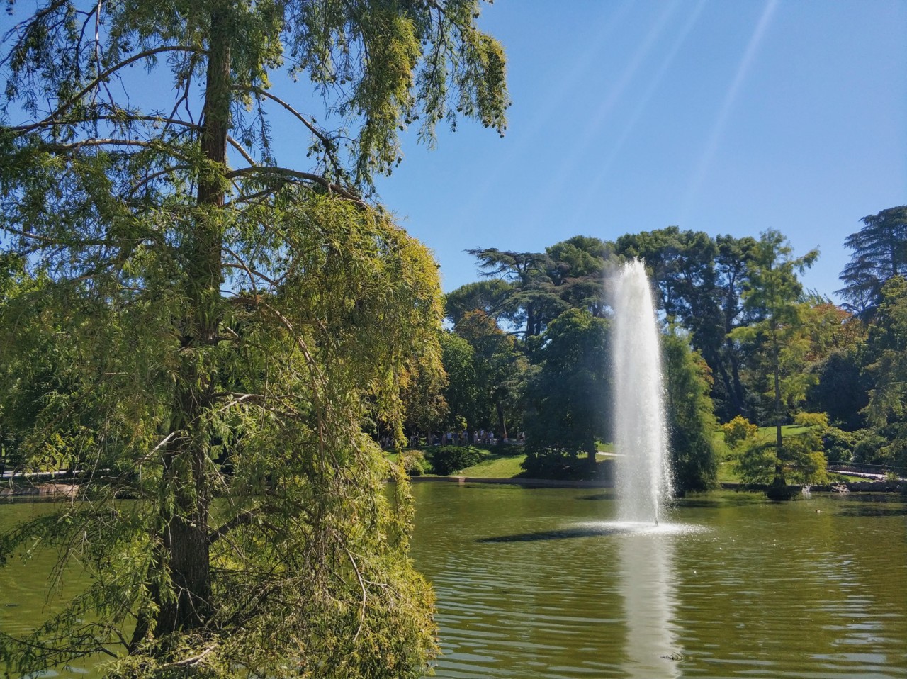 El Retiro.jpg