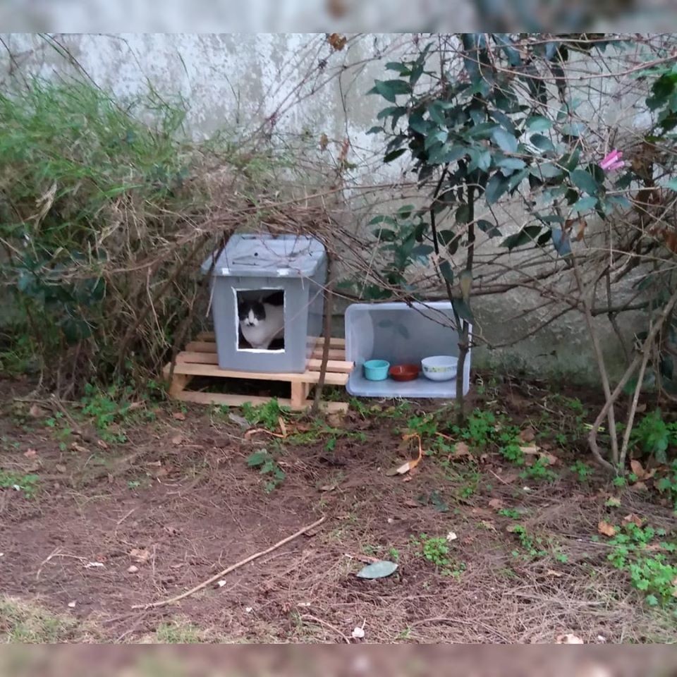 78850678_2246975915408079_798911621257756672_o[1].