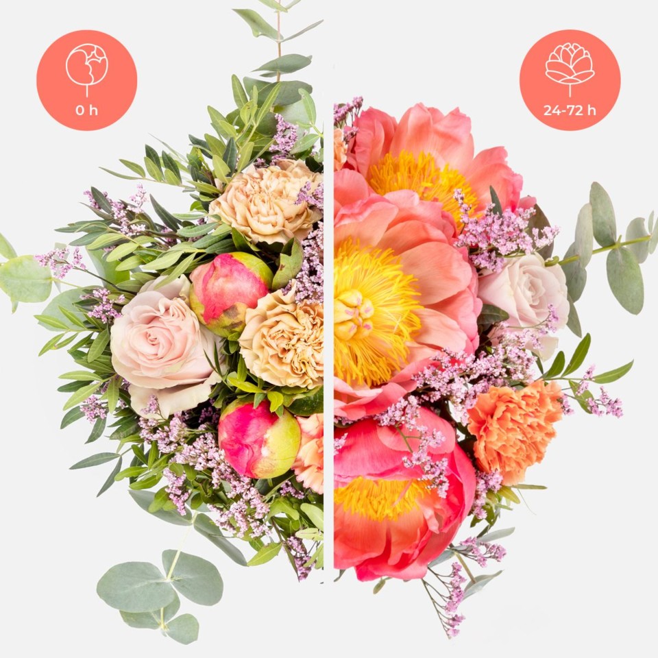 montmartre-dad6d534-d7ba-41e8-9b84-291eec342c68.jp