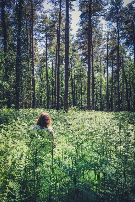 a0049a5c515e25ceff80164e116258cc.jpg a0049a5c515e25ceff80164e116258cc.jpg