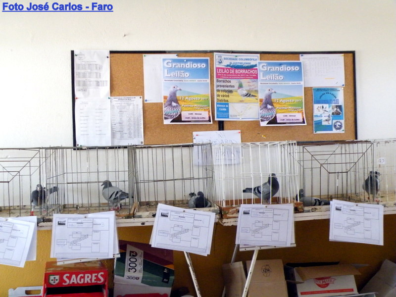 Almodôvar 2017 002.JPG