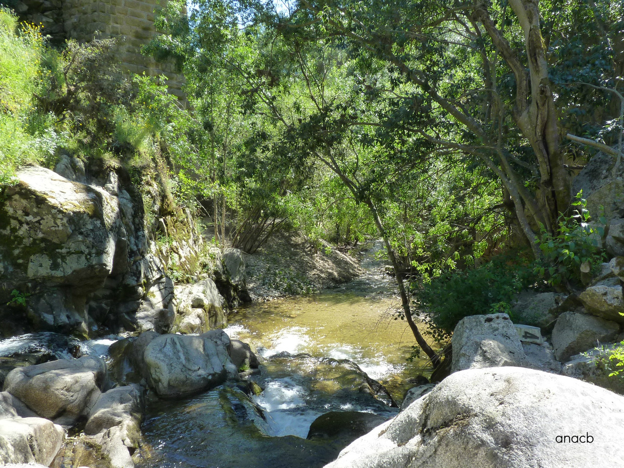 Ribeiro da Paradela (Tua), Junho 2016