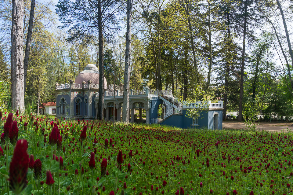 DSC02036.jpg DSC02036.jpg