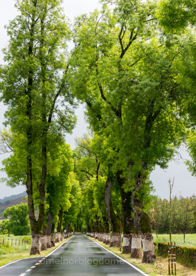 _DSC6425.jpg _DSC6425.jpg