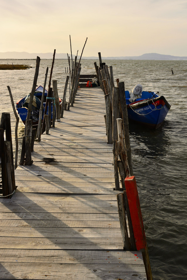 DSC_2913_01_00007.jpg DSC_2913_01_00007.jpg