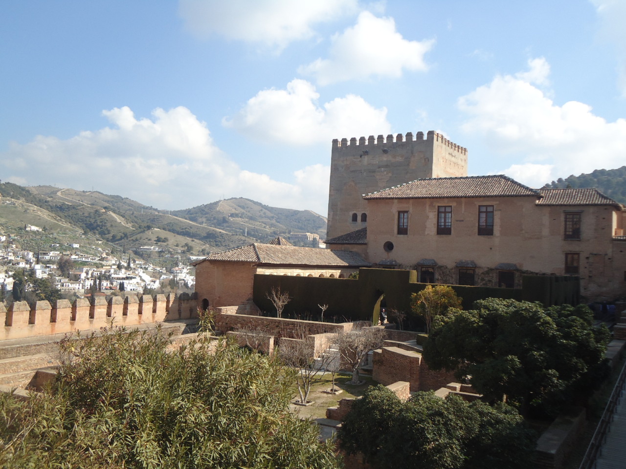 DSC08922.JPG DSC08922.JPG