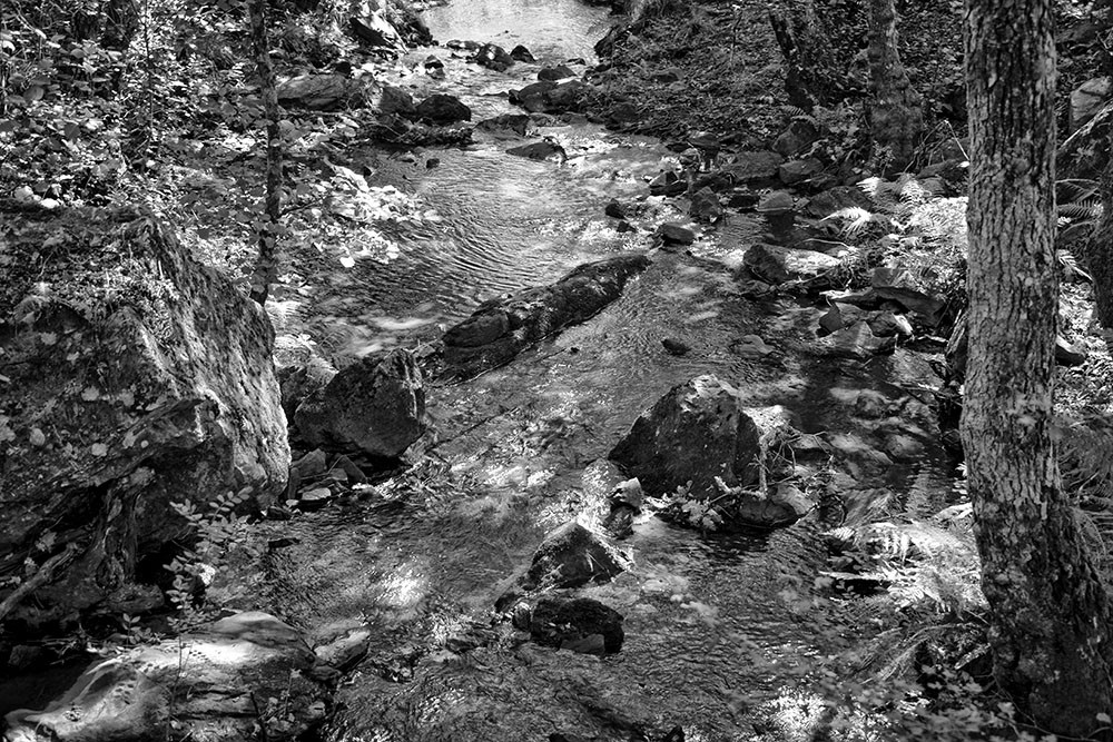 Segirei - setembro 2015 079 - Cópia.jpg