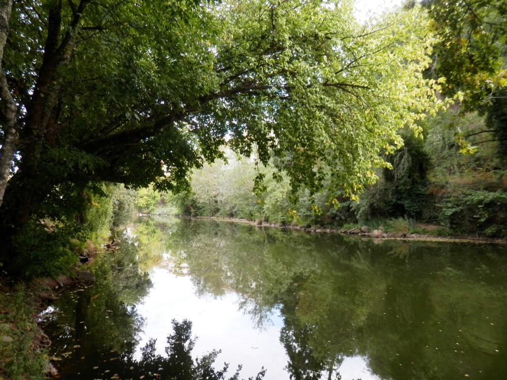 P9110244.JPG P9110244.JPG