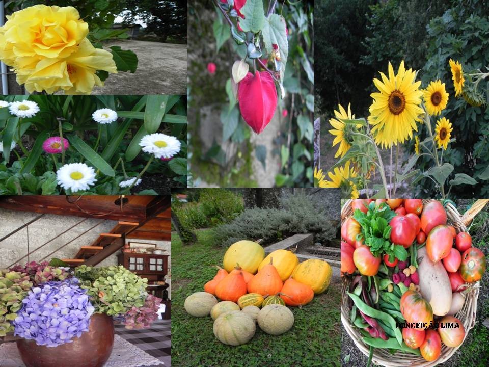 Diapositivo1.JPG Diapositivo1.JPG