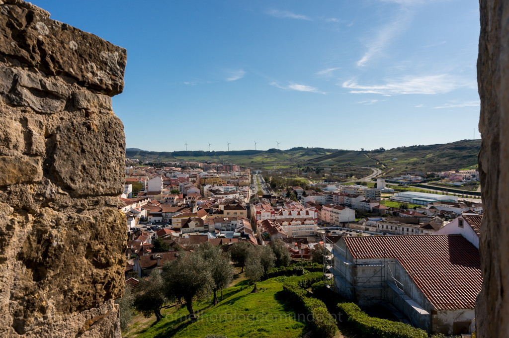 DSC04942.jpg DSC04942.jpg