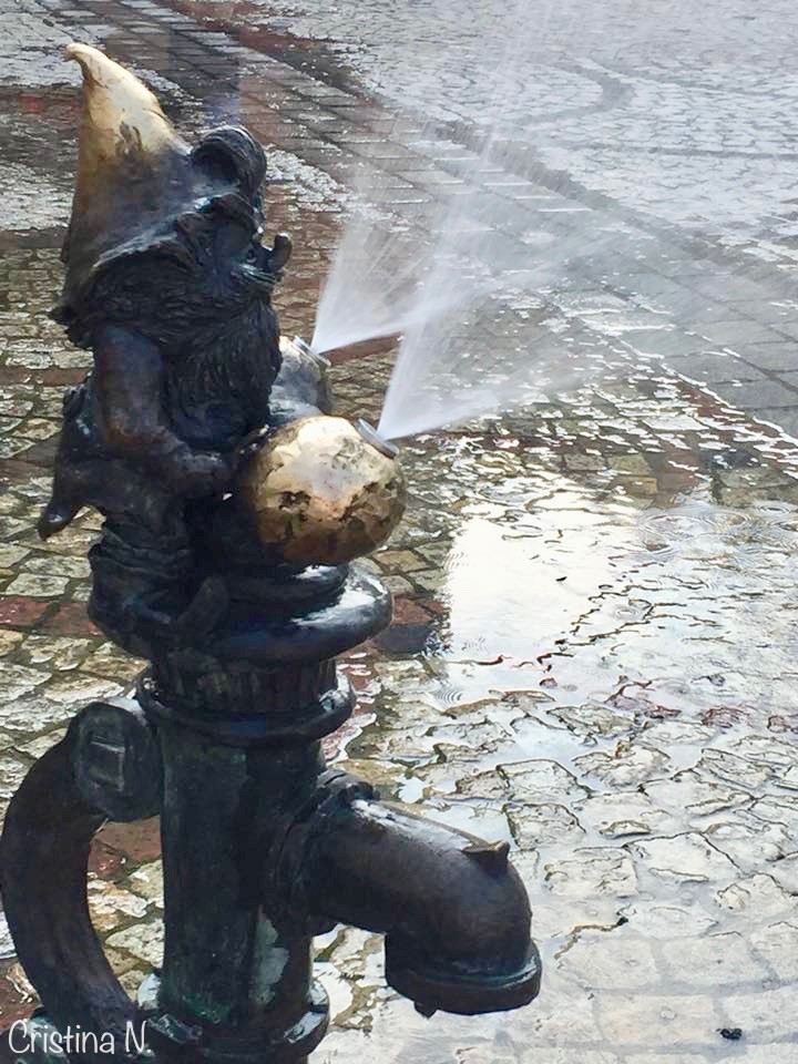 38282079_2164462033567256_7234340564311736320_n.jp